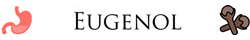 Eugenol terpene properties