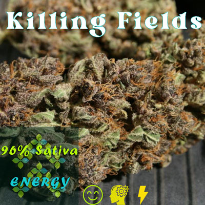 Killing Fields energy strain