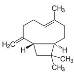 Beta-Caryophyllene