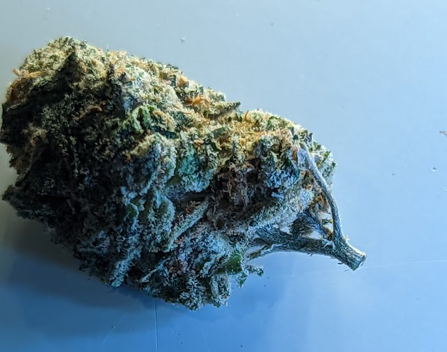 Biscotti Strain from Exotic Organics, DC