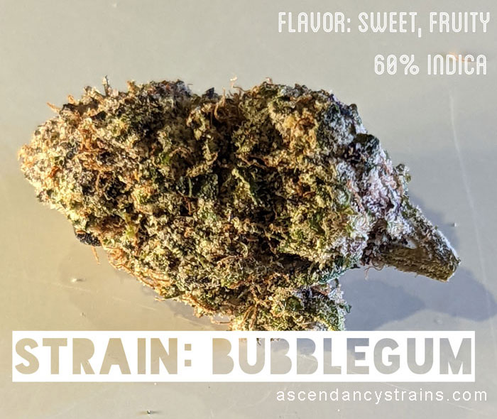 Bubblegum cannabis strain review