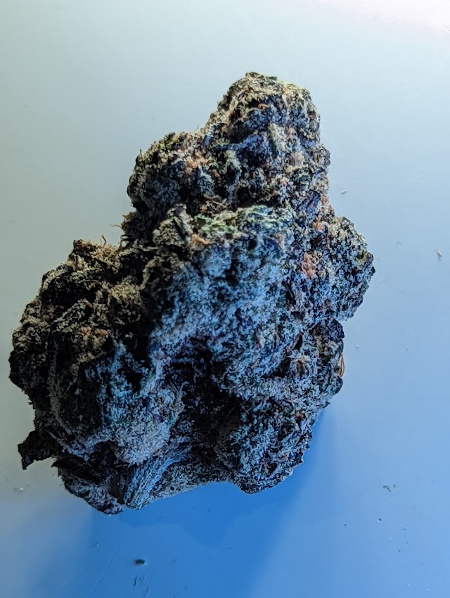 Obama Runtz Strain Bagged Buds