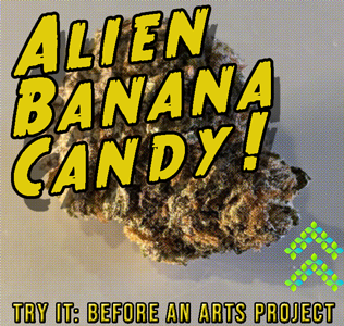 Alien Banana Candy strain try it before an arts project