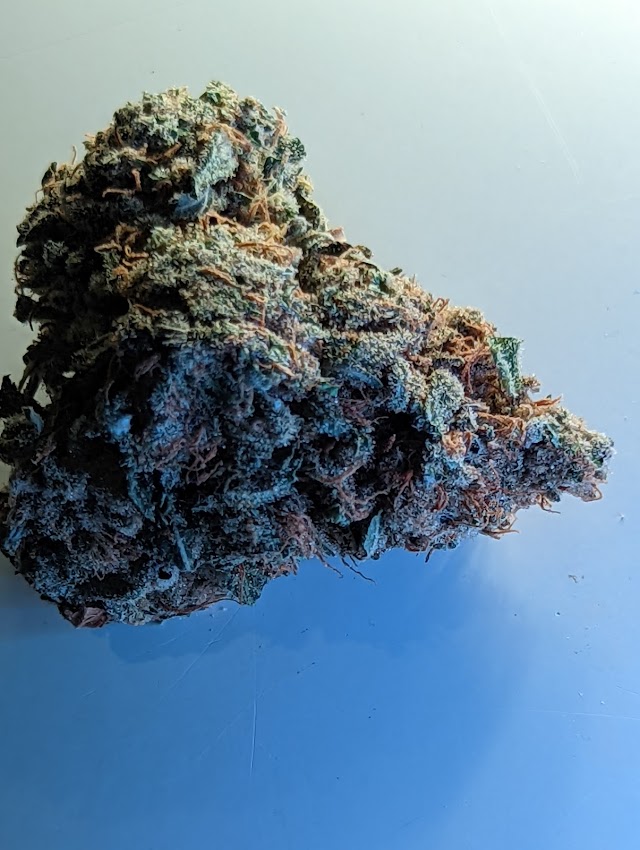 Jelly Breath from LOCAL'd, DC