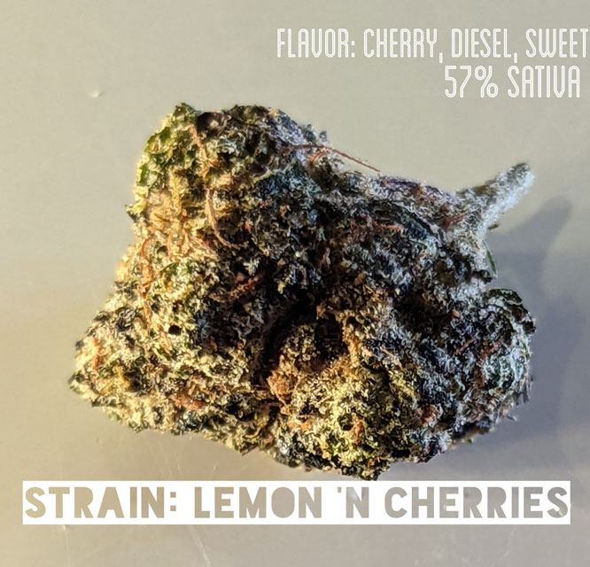 lemon n cherries strain
