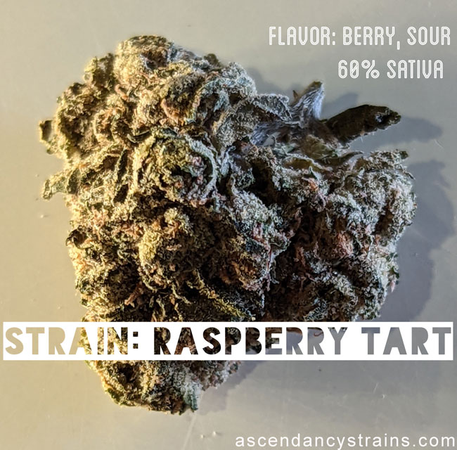 raspberry tart strain