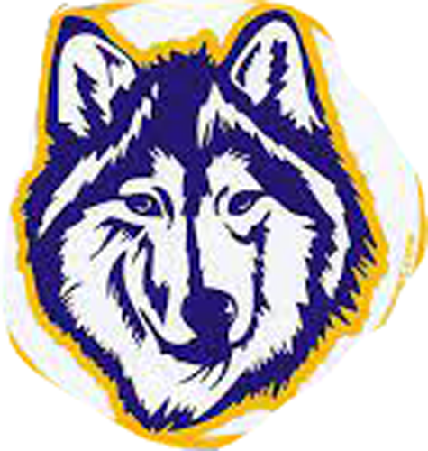 wolf dead