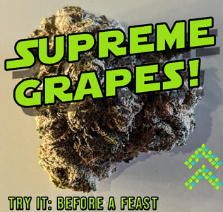supreme grapes strain review try it before a feast