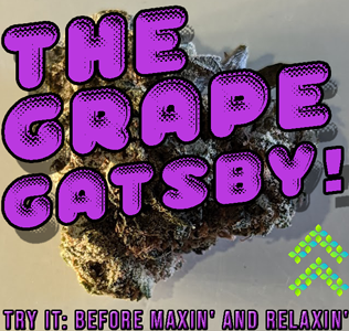 the grape gatsby strain review
