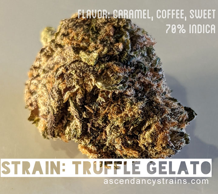 Truffle Gelato cannabis strain review
