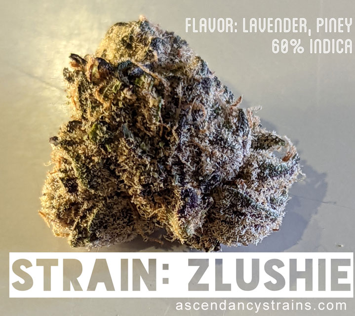 Zlushie cannabis strain review